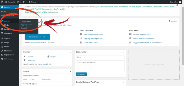 Wordpress Nuovo Articolo