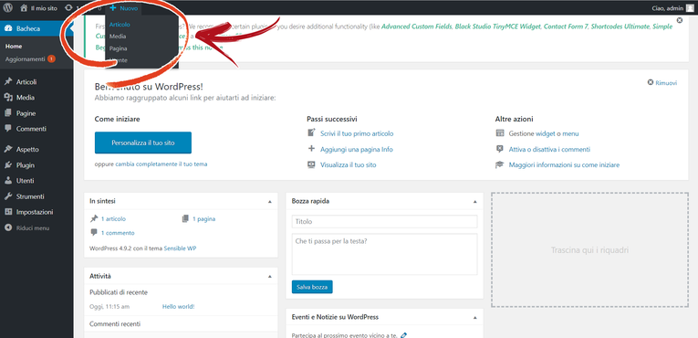 Wordpress Nuovo Articolo